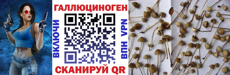 Галлюциногенные грибы мухоморы  купить наркотик  Кубинка 
